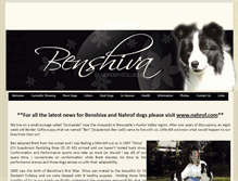 Tablet Screenshot of benshiva.com